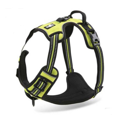 Easy Walks Bundle